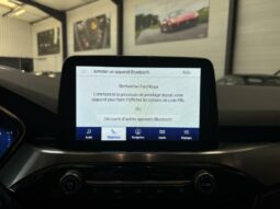 
										Ford Kuga III 2.5 190 hybrid Flexifuel Pshift Titanium full									