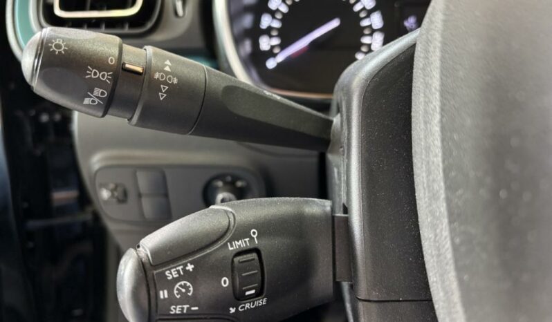 
								Citroën C3 III BlueHDi 100 S&S BVM Feel Business full									