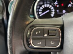 
										Citroën C3 III BlueHDi 100 S&S BVM Feel Business full									