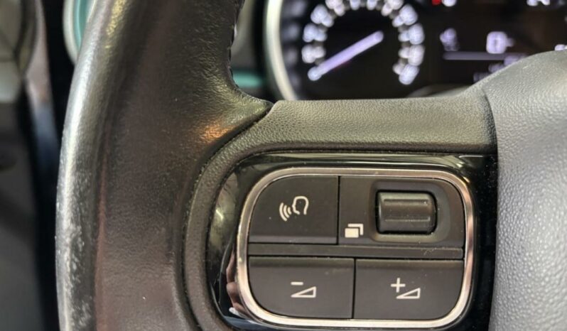 
								Citroën C3 III BlueHDi 100 S&S BVM Feel Business full									