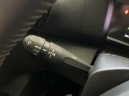 
										Citroën C4 III BlueHDi 110 S&S BVM6 Feel Pack Business full									