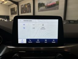 
										Ford Kuga III 2.5 190 hybrid Flexifuel Pshift Titanium full									